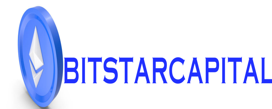 Bitstar Capital logo with fading reflection of the logo